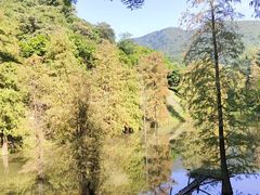 -火炉山森林公园