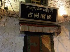 -古树酸奶(八廓南街店)