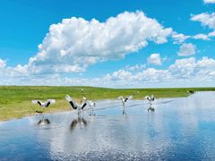 -黑龙江扎龙生态旅游区