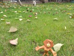 -上海安亭别墅花园酒店