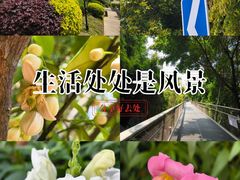 -仙岳公园