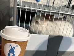 -小意思咖啡店(草桥店)