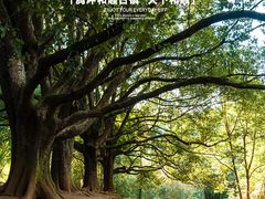 -和顺古镇