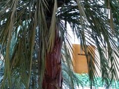 android_upload_pic-上海虹桥迎宾馆