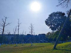 -四川大学(江安校区)