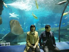 -福州罗源湾海洋世界旅游区