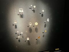 -美国自然历史博物馆