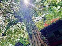 -南华禅寺