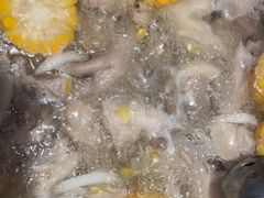-洪氏嗨捞·猪肚鸡火锅(阳光天地店)
