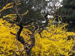 -钓鱼台国宾馆