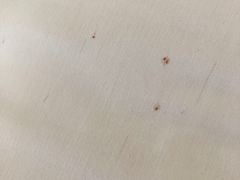 -上海安亭别墅花园酒店