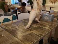 -小时光咖啡馆(北锣鼓巷店)