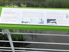 -西湖风景区-江洋畈生态公园