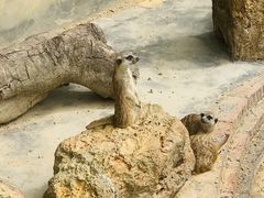 -李小龙乐园(顺德均安店)