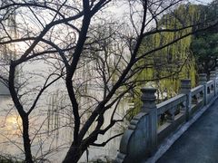 -西湖游船