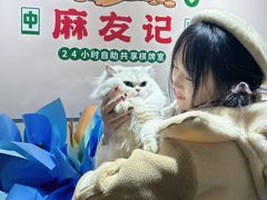 -麻友记·24h自助棋牌(金融科贸店)