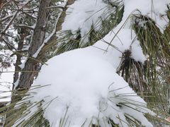 -南京市无想山景区