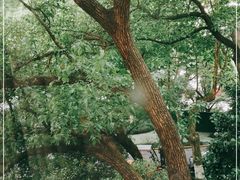 -中国人民解放军联勤保障部队第九〇三医院(九里松院区)