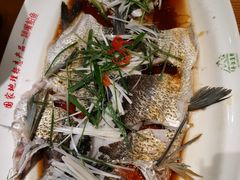 翘嘴鲌鱼-丹江渔村(望京店)