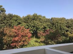 -上海市保健医疗中心