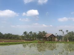 -蔡家宅