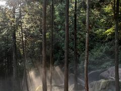 -玉苍山国家森林公园
