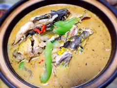 iphone_upload_pic-杭州天目山静雅居农家乐