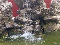 -皇罗禅寺