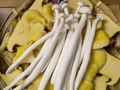 -菌极鲜野生菌火锅店(阳明祠店)