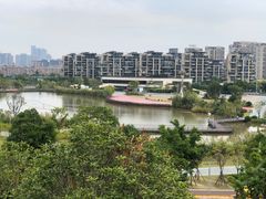 -飞凤山奥体公园