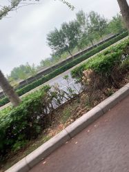 -HEYAN长风荷妍专业脱毛美肤
