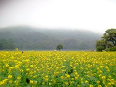 android_upload_pic-广州市石门国家森林公园
