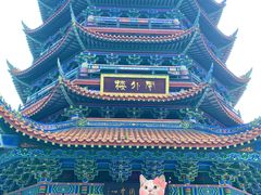 -铁山坪森林公园