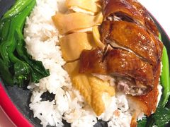 金牌烧鹅-龙记香港茶餐厅(久光百货店)