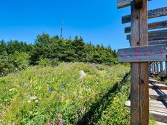 -白草畔自然风景区