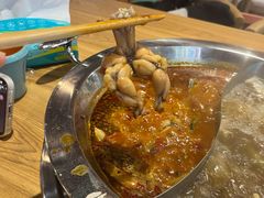 -铭记蛙小仙·活蛙畅享(CBD万达广场店)