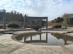-宜兴龙背山森林公园