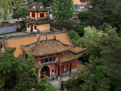 -铁山坪森林公园