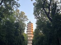 -钟山体育运动公园