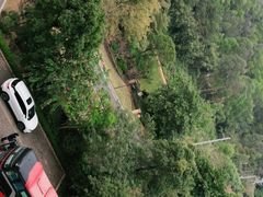 -美的鹭湖森林度假区