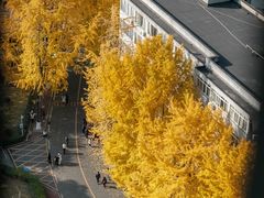 -四川大学(华西校区)