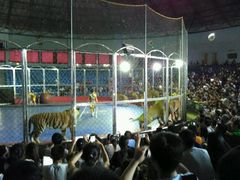 android_upload_pic-西安秦岭野生动物园