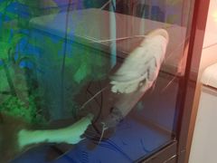 -胖姐烧烤(总店)