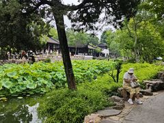 -晨枫酒店(苏州观前步行街店)