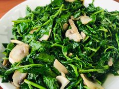 枸杞头炒蘑菇-长廊好灶头 本地人农家菜(枫泾古镇店)