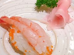 -团子君寿司·茶
