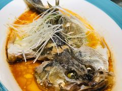 豉油海鲈鱼-四季厨房 鲁菜·孔府烤鸭(高新万达店)
