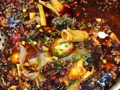 -黑竹香鸡(营和巷店)