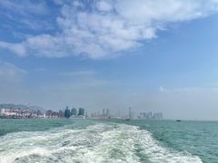 -招商蛇口邮轮母港(观光客运)