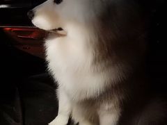 -乐宠宠物店(世纪金源店)